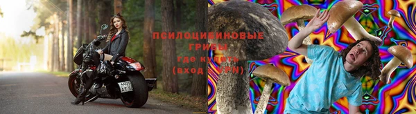 герыч Магадан