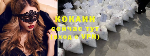 спиды Бердск