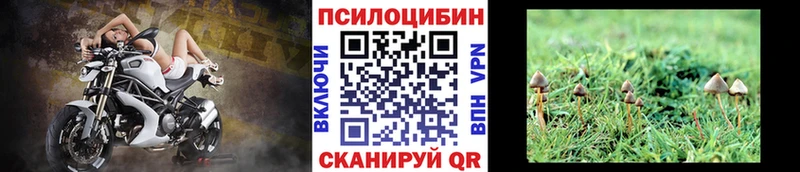 купить наркотики цена  Болохово  Галлюциногенные грибы прущие грибы 