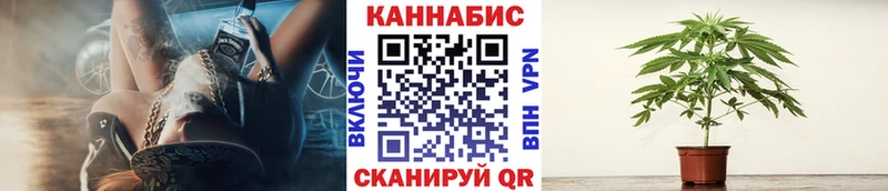 закладки  Болохово  Бошки Шишки гибрид 